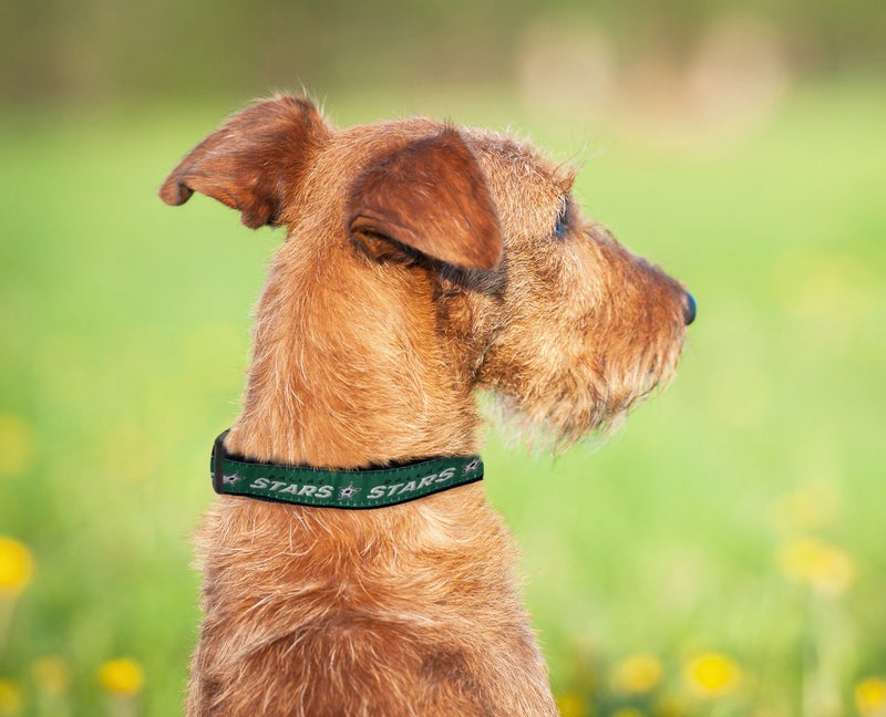 Pets First NHL Collar for Dogs & Cats. Adjustable, Cute, & Stylish! The Ultimate Hockey Fan Collar! - Image 5